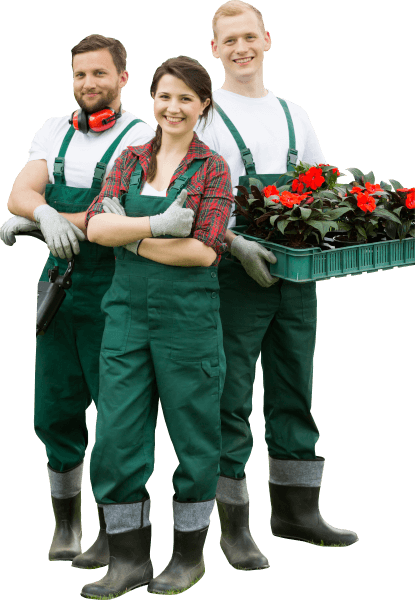 happy gardeners with plants and lawn mower pvemxnp.png